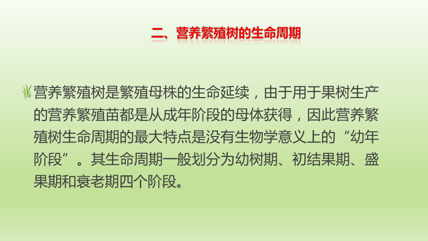 1.3.6果树的生命周期 课件(共17张PPT）-《果树生产技术》同步教学（中国农业出版社）