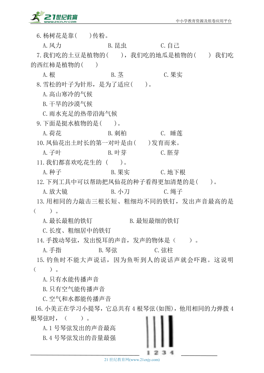 2024苏教版三年级科学下册期中测试题二（含答案）