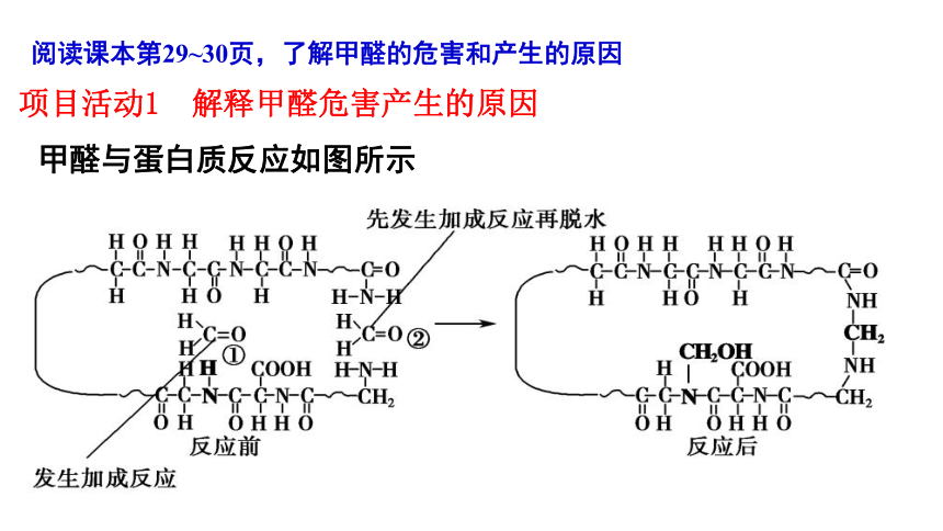 第1章原子结构与元素性质微项目及单元复习(共16张PPT)-2023-2024学年高二化学鲁科版选择性必修第二册课件