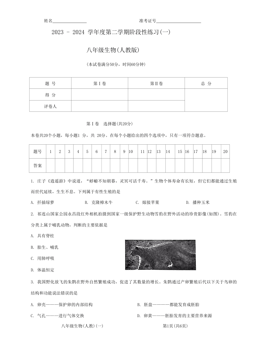 山西省大同市大成双语学校2023-2024学年八年级下学期3月月考生物试题（含答案）