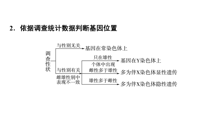 新人教高考生物学一轮复习素养加强课5　基因在染色体上位置的判断与探究(共50张PPT)