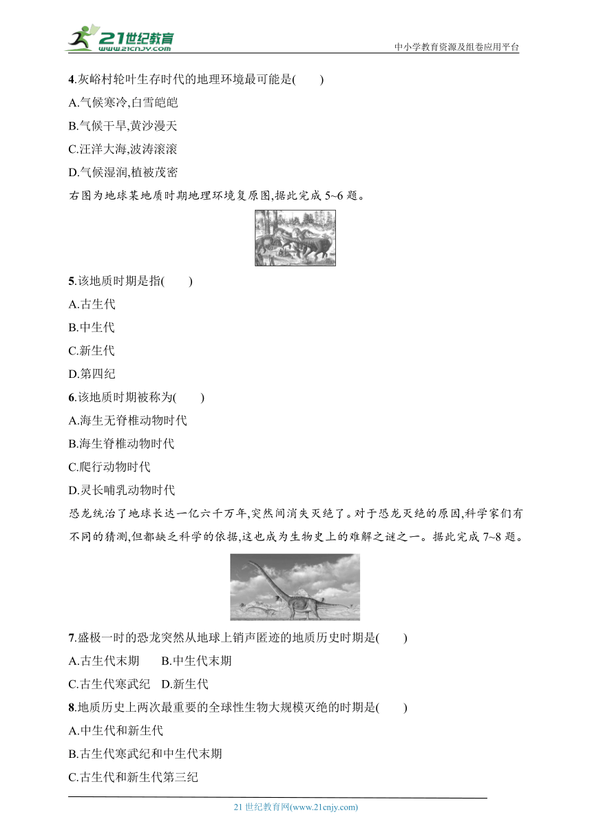 2024浙江专版新教材地理高考第一轮基础练--考点分层练8　地球的演化（含解析）