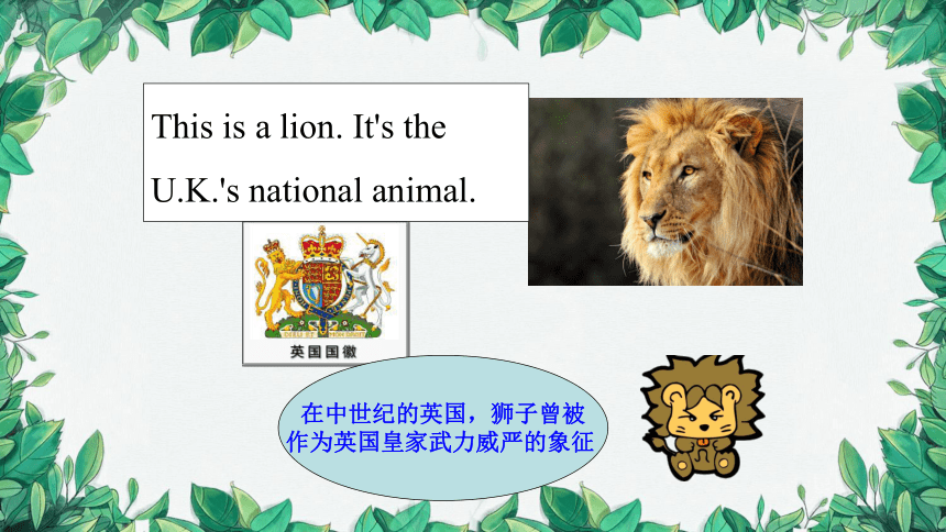 冀教版七年级上册 Unit 8  Countries around the World Lesson 47课件(共32张PPT)