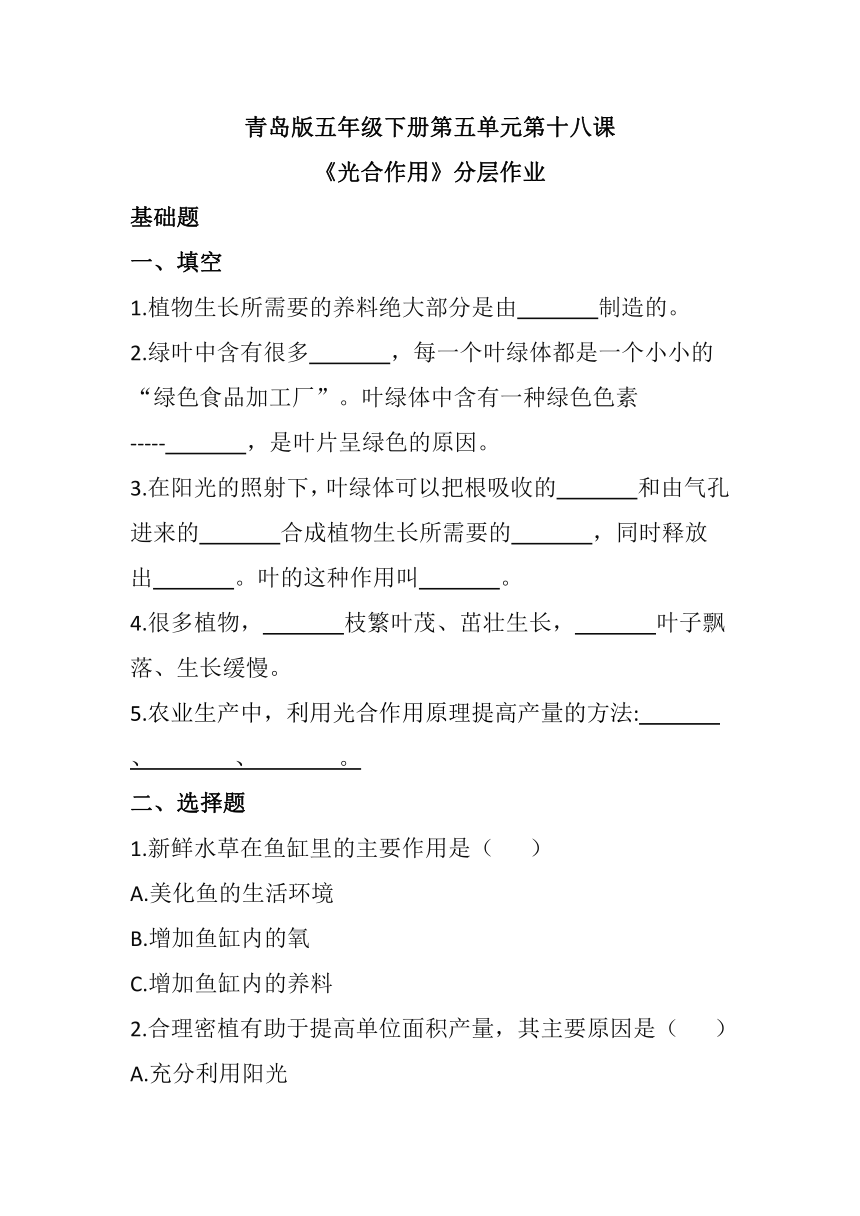 2023-2024学年科学五年级下册（青岛版）第18课 光合作用 同步分层作业（含答案）