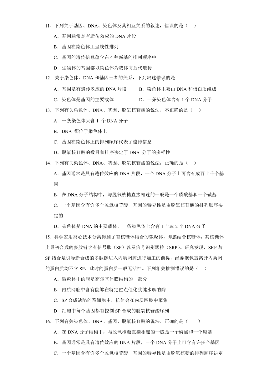 3.4基因通常是有遗传效应的DNA片段 练习（含解析）