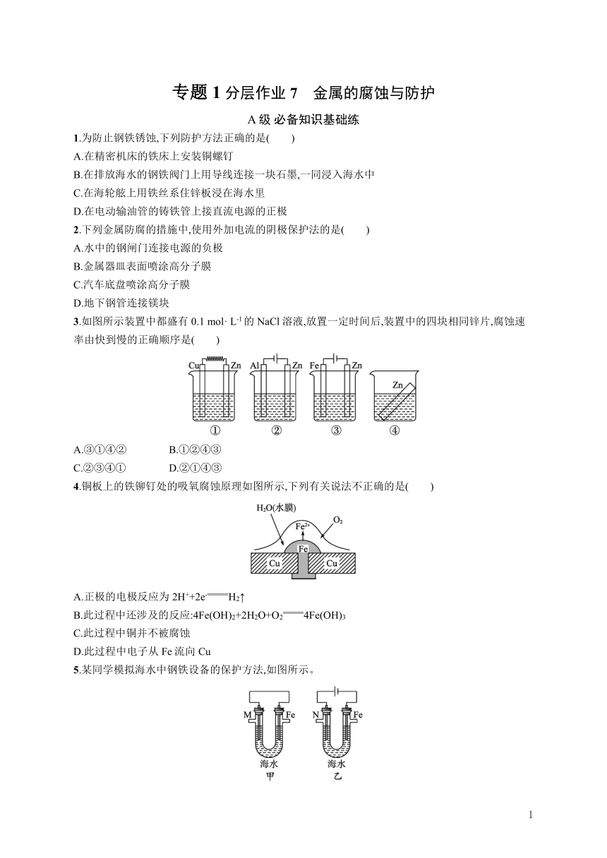 2023秋高中化学（苏教2019）选择性必修1 分层作业7　金属的腐蚀与防护  （含解析）