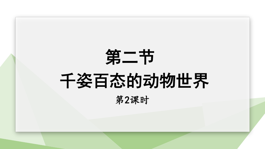 5.14.2 千姿百态的动物世界  第2课时 课件 2023-2024学年初中生物苏教版八年级上册