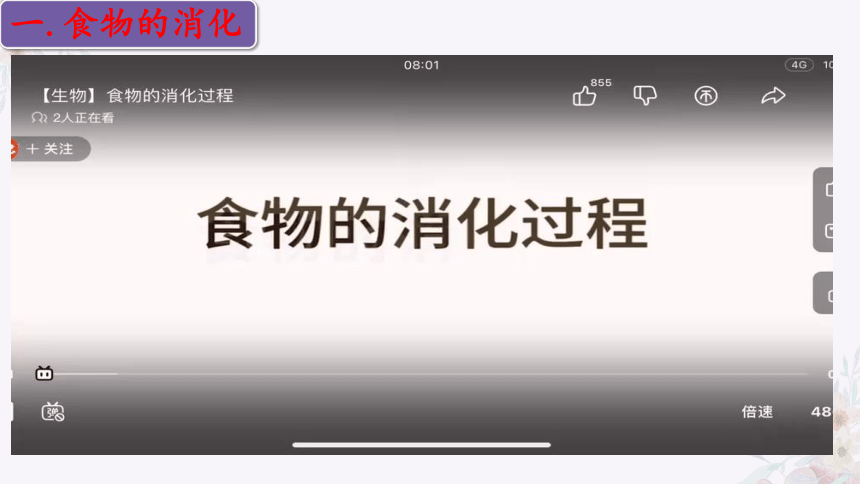 4.9.2 人体的消化与吸收（第二课时）-2023-2024学年七年级生物下册同步精品课堂（苏教版）(共31张PPT)