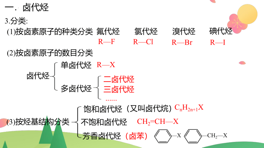 3.1 卤代烃  课件(共35张PPT)高二化学（人教版2019选择性必修3）