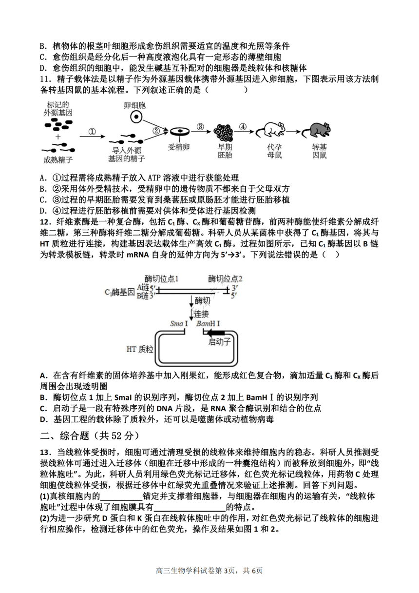 天津市武清区杨村第一高级中学校2023-2024学年高三上学期开学学业质量检测生物学试卷（扫描版含答案）