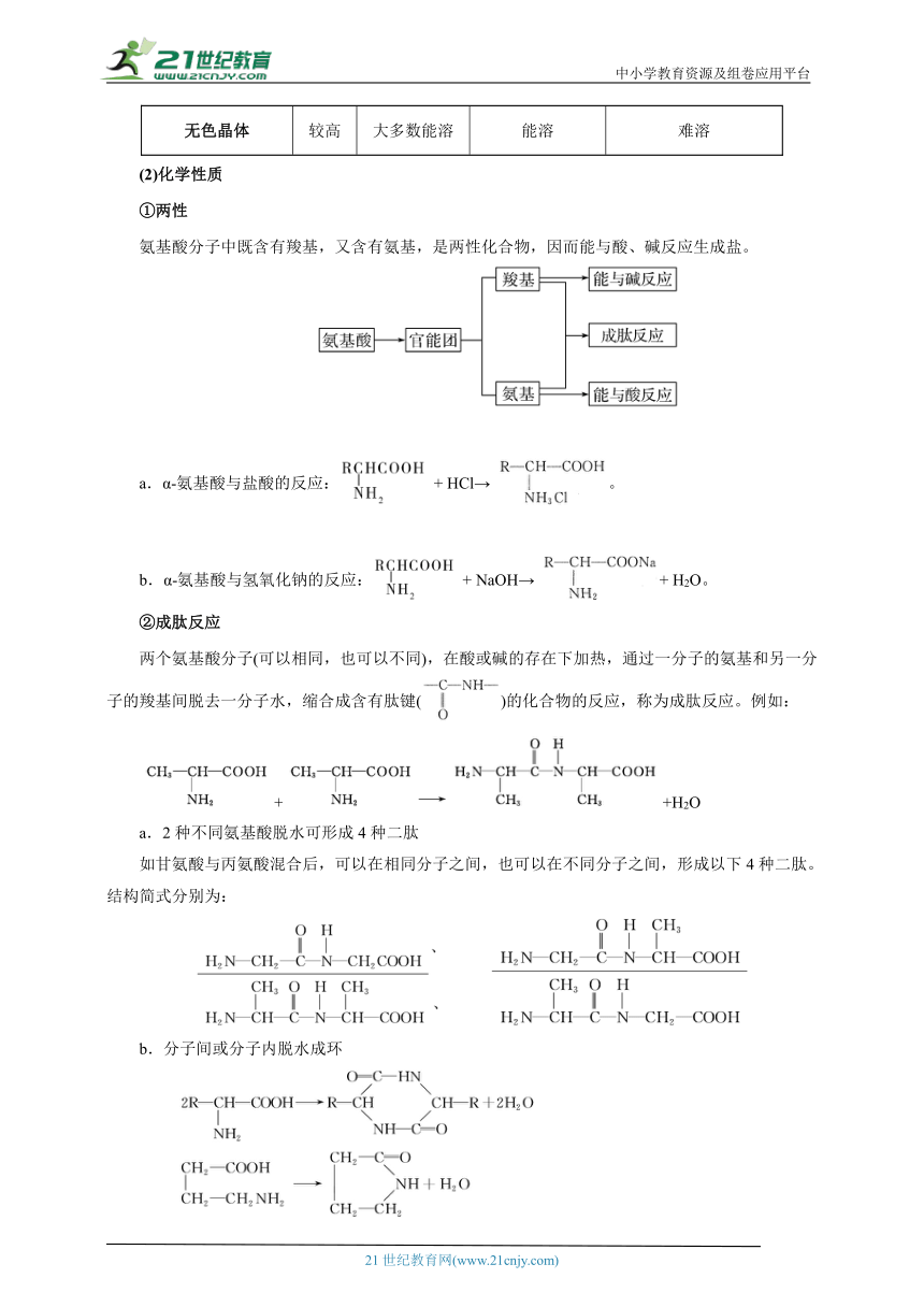 4.2 蛋白质（解析版）