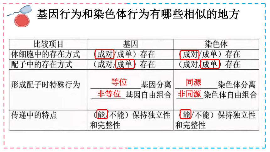 2.2-基因伴随染色体传递(共20张PPT)