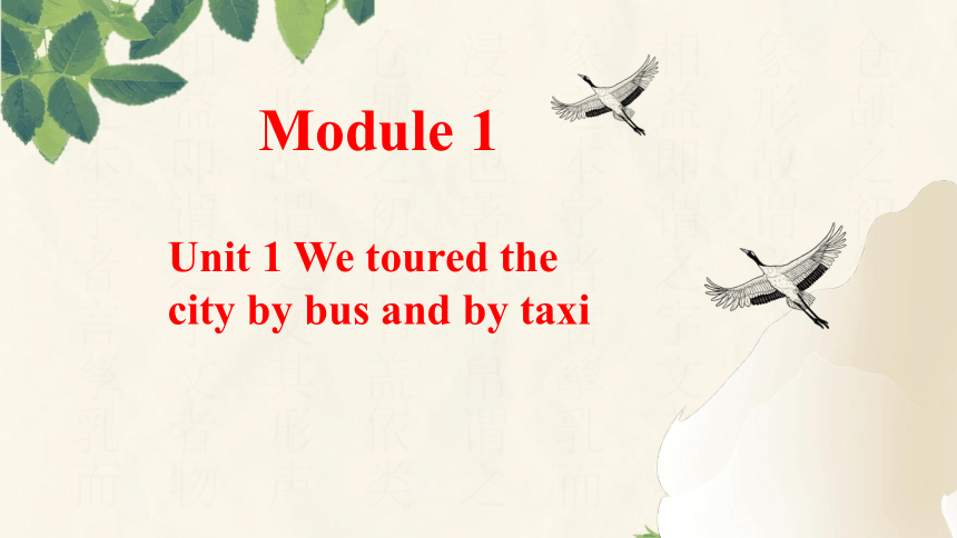 Module 1 Travel Unit 1 We toured the city by bus and by taxi课件(共33张PPT)九年级英语下册（外研版）