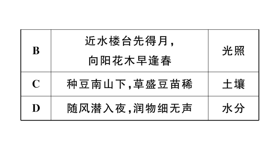 1.2.1生物与环境的关系习题课件(共38张PPT)