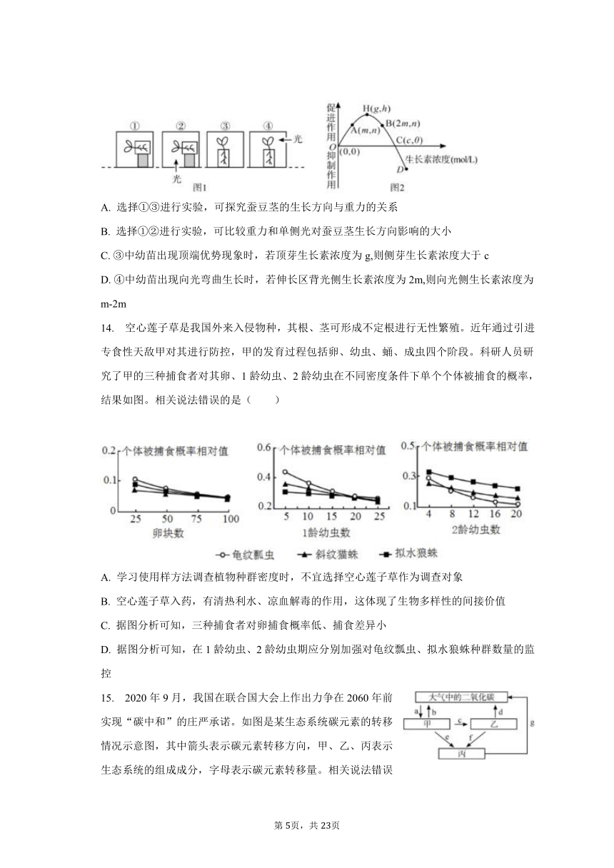 2023-2024学年湖北省宜荆荆恩高三（上）开学生物试卷（9月份）（含解析）