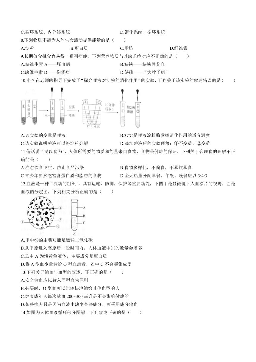 安徽省滁州市凤阳县2022-2023学年七年级下学期期末生物试题(无答案)