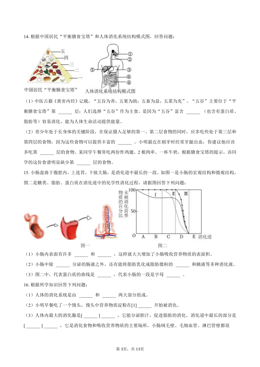 2022-2023学年辽宁省沈阳市重点中学七年级（下）竞赛生物试卷（含解析）