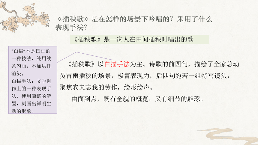 6.2《插秧歌》课件(共19张PPT)2023-2024学年统编版高中语文必修上册