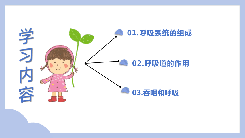 4.3.1呼吸道对空气的处理课件 (共29张PPT)人教版生物七年级下册