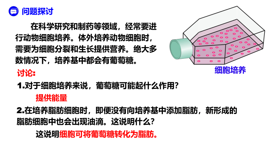 2.3 细胞中的糖类和脂质-(共32张PPT)高一生物课件（人教版2019必修1）