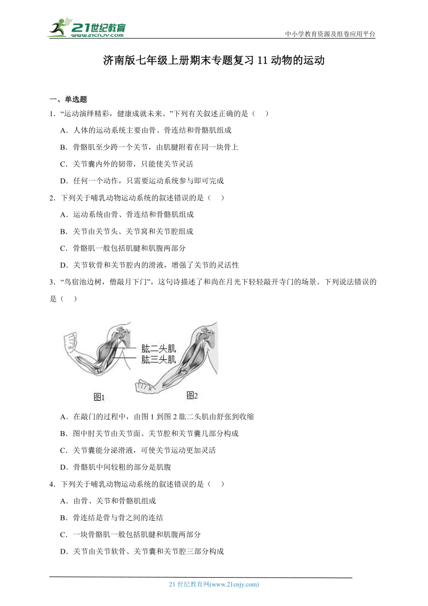 2023-2024学年初中生物济南版七年级上册期末复习专题11——动物的运动（含解析）