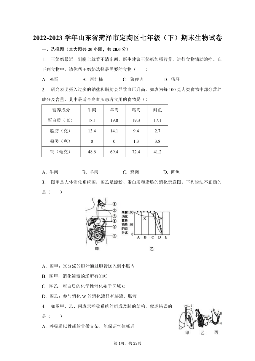 2022-2023学年山东省菏泽市定陶区七年级（下）期末生物试卷（含解析）