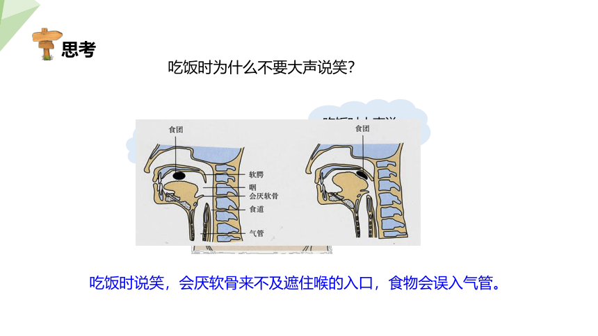 4.10.2 人体细胞获得氧气的过程 课件 （共29张PPT）2023-2024学年初中生物北师版七年级下册