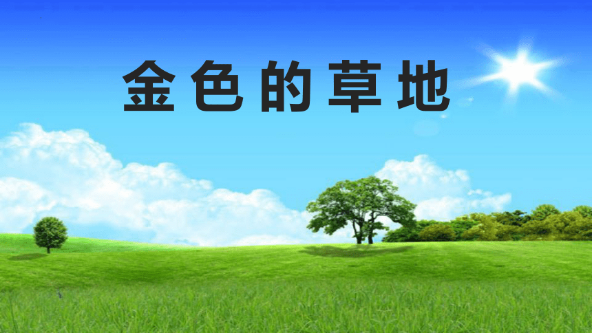 16.《金色的草地》课件(共19张PPT)