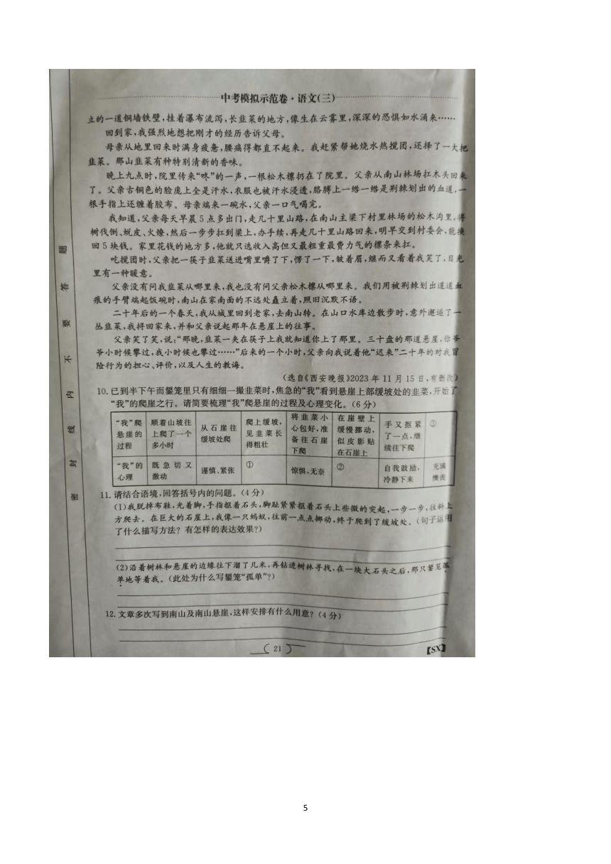 2024年陕西省榆林市子洲县周家硷中学中考三模语文试题（含答案）