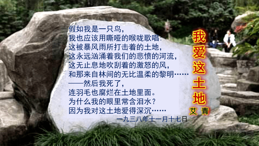 部编版九年级语文上册第一单元名著导读专练《艾青诗选》如何读诗（精品课件）(共22张PPT)