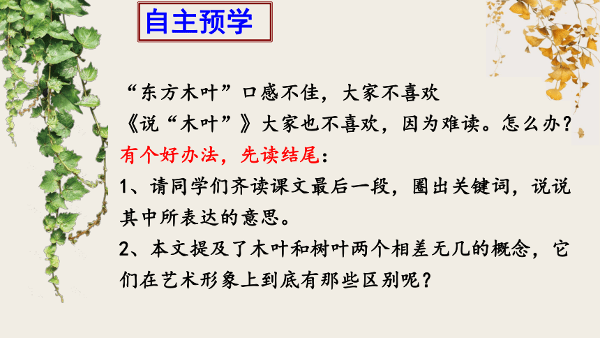 9《说“木叶”》课件(共33张PPT)  2023-2024学年统编版高中语文必修下册