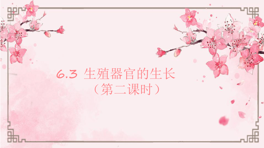 3.6.3生殖器官的生长（第2课时）课件(共17张PPT+内嵌视频1个) 北师大版生物七年级上册