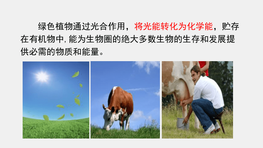 3.7.1 绿色植物与生物圈中的作用  课件 (共27张PPT)生物北师大版七年级上册