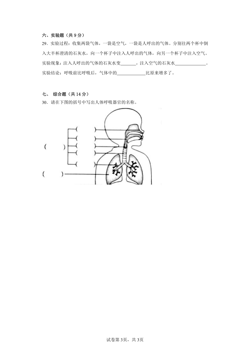 湘科版四年级科学上册第二单元消化与呼吸质量测试卷（一）附答案
