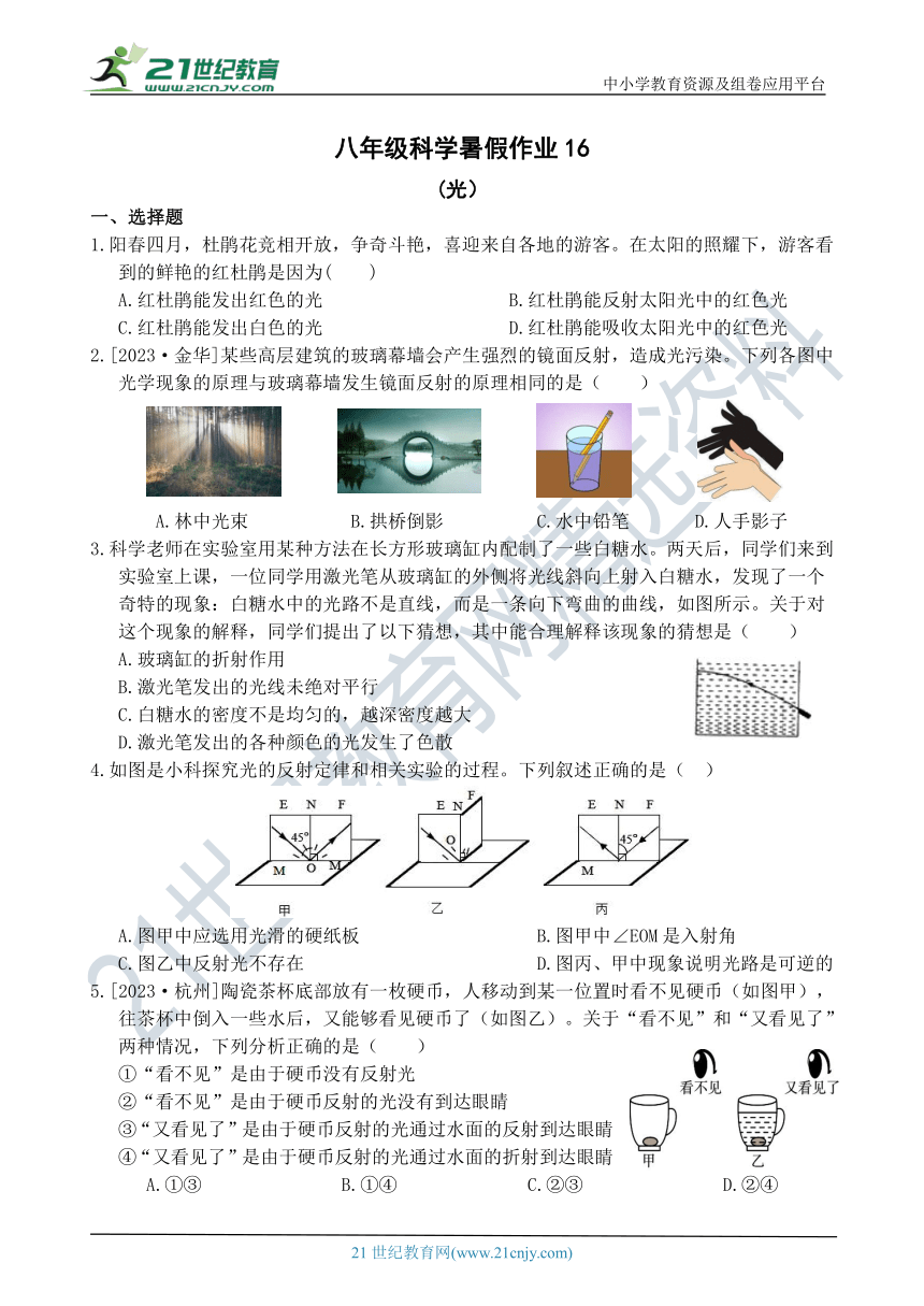 八年级科学暑托作业16（光）（含答案）