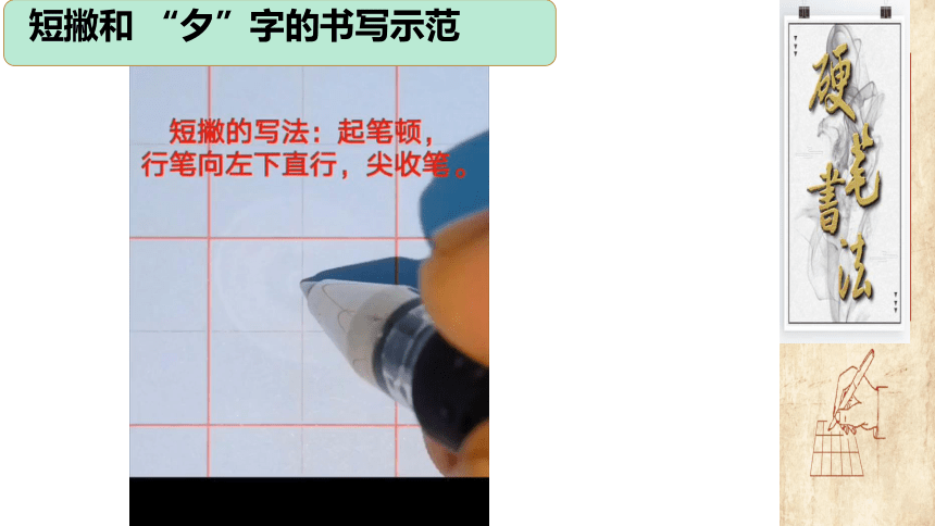 深圳市学校一年级书法第6课《短撇、长撇的写法》课件
