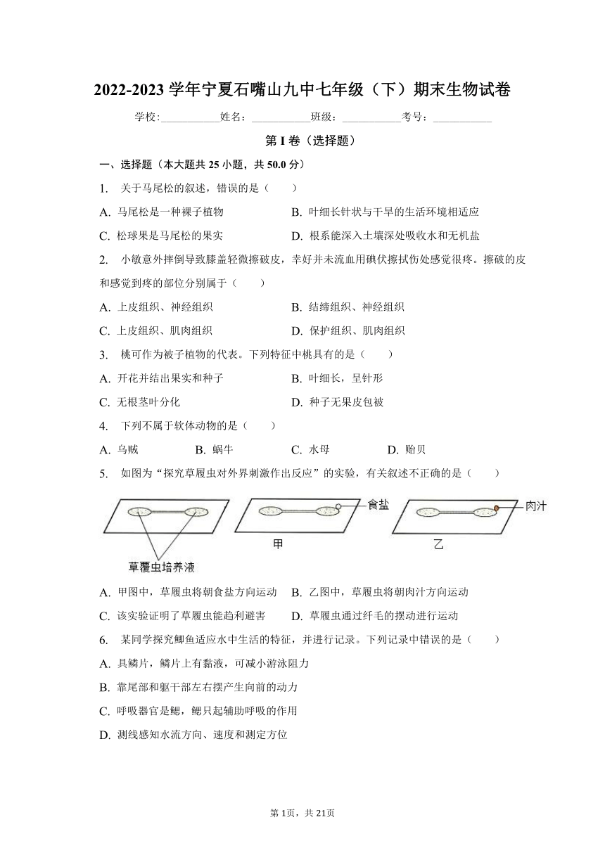 2022-2023学年宁夏石嘴山九中七年级（下）期末生物试卷（含解析）