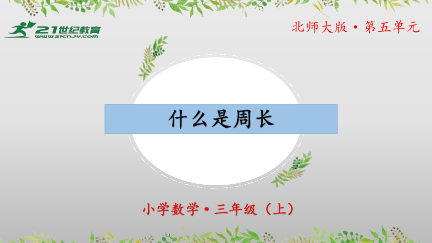 5.1《什么是周长》教学课件(共30张PPT)三年级 数学上册 北师大版