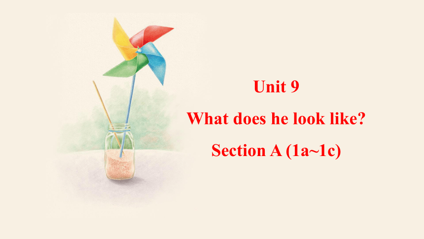 Unit 9 What does he look likeSection A 1a-1c课件＋音频 (共17张PPT)人教版英语七年级下册