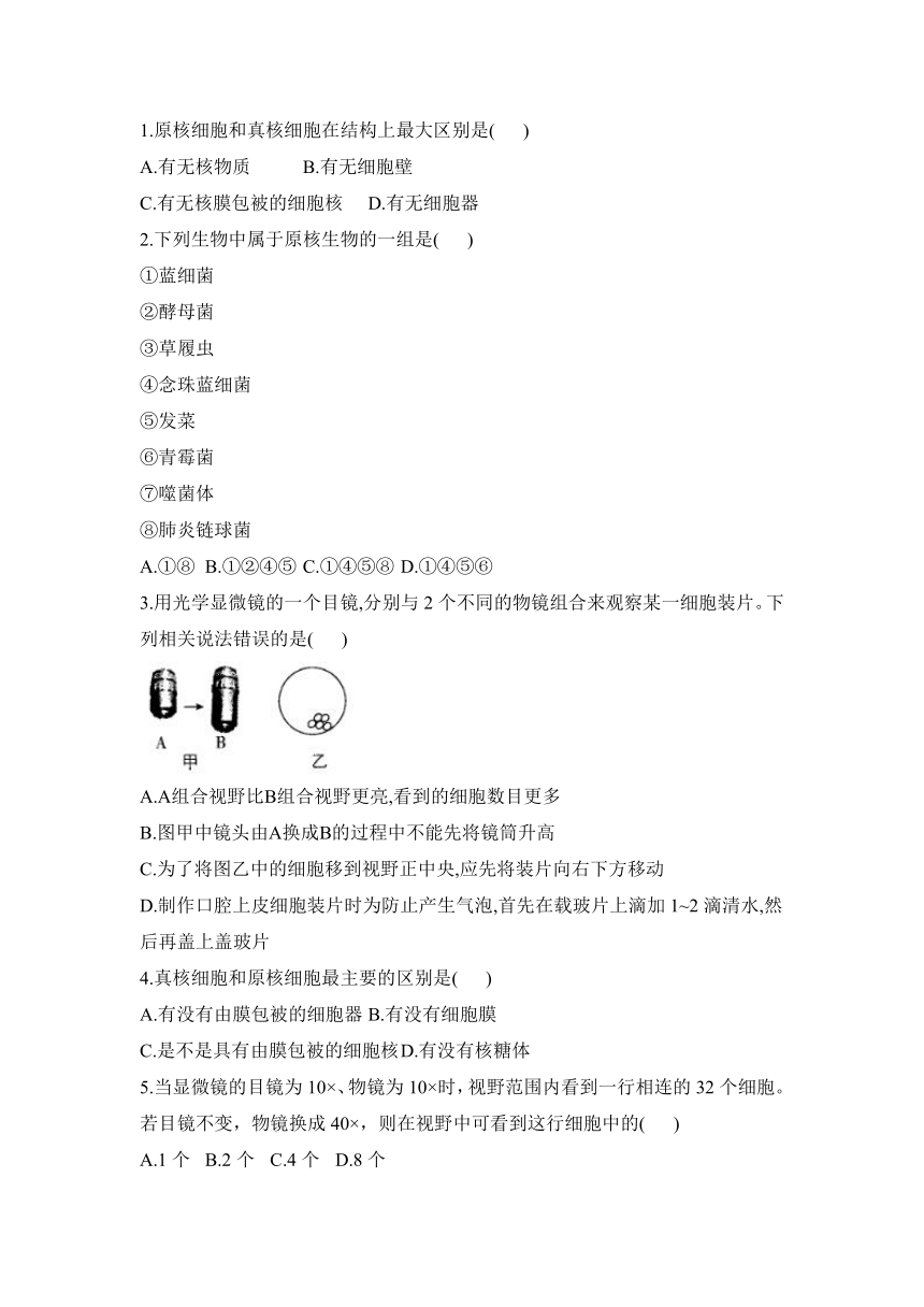 1.2细胞的多样性和统一性  导学案（有答案）——2023-2024学年高一生物人教版（2019）必修一