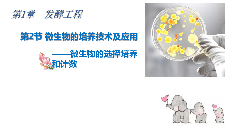 1.2.2微生物的选择培养和计数课件-(共45张PPT1份视频)人教版选择性必修三