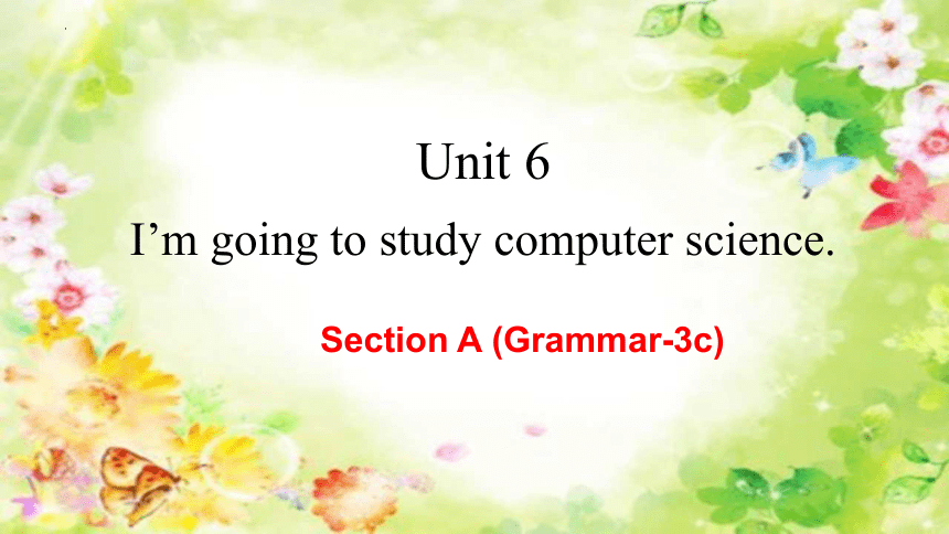 Unit 6 Do you like bananas Section A Grammar-3c(共26张PPT)人教新目标七年级上册