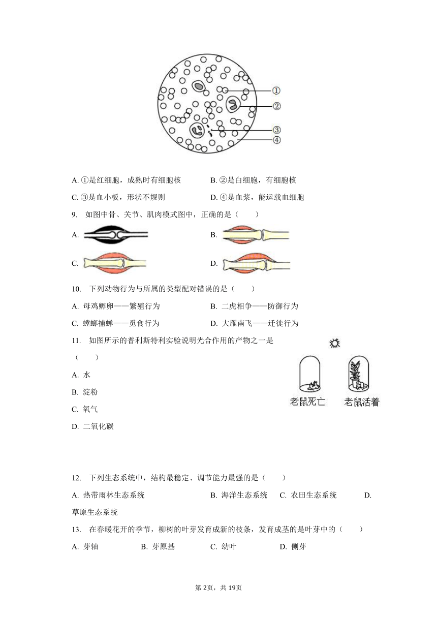 2022-2023学年宁夏银川市第十五中学八年级（下）开学生物试卷（含解析）