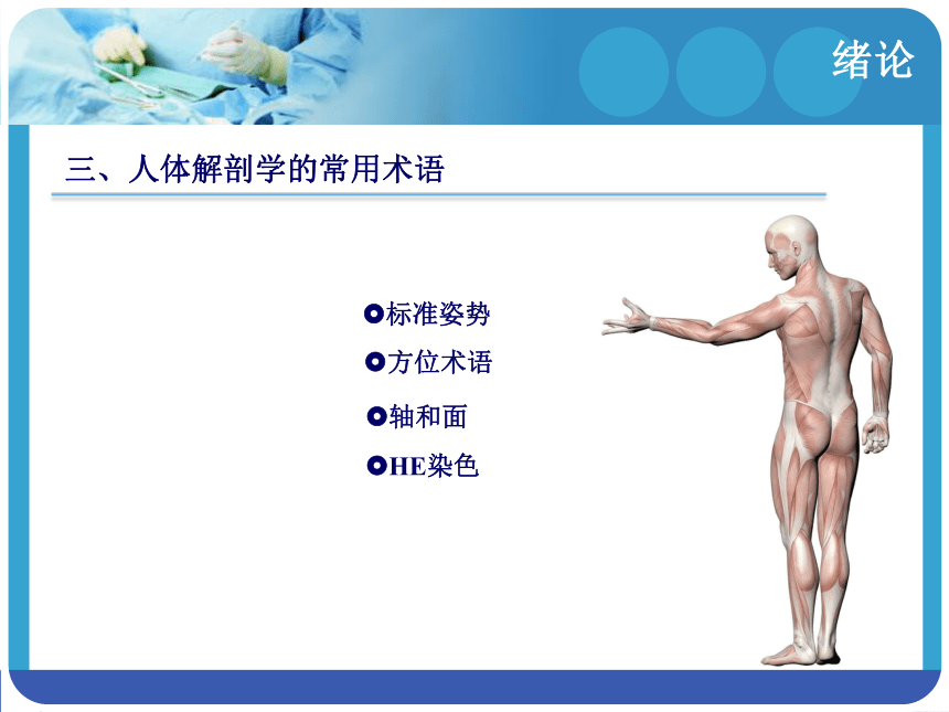 绪论 课件(共13张PPT)-《解剖学基础》同步教学（江苏大学出版社）