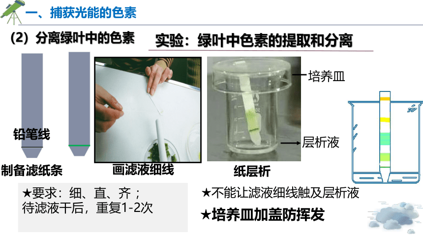 5.4.1 光合作用与能量转化课件 第一课时 （共18张PPT）人教版2019必修1