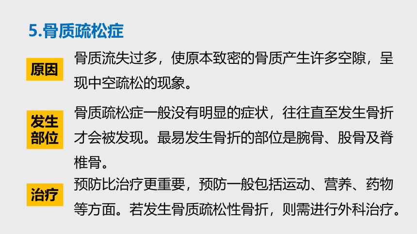 3.5人体的运动系统和保健 —2023-2024学年浙教版科学九年级下册（课件 32张ppt）