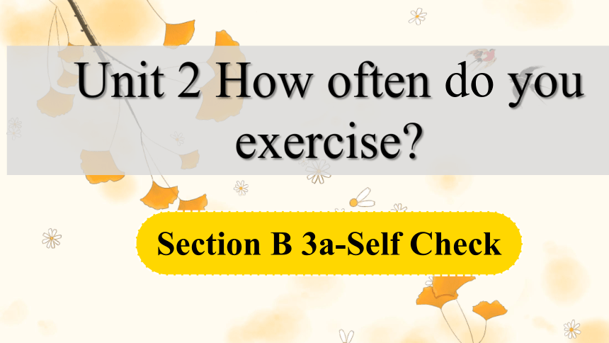 Unit 2 How often do you exercise? SectionB(3a-self-check)课件 (共21张PPT)
