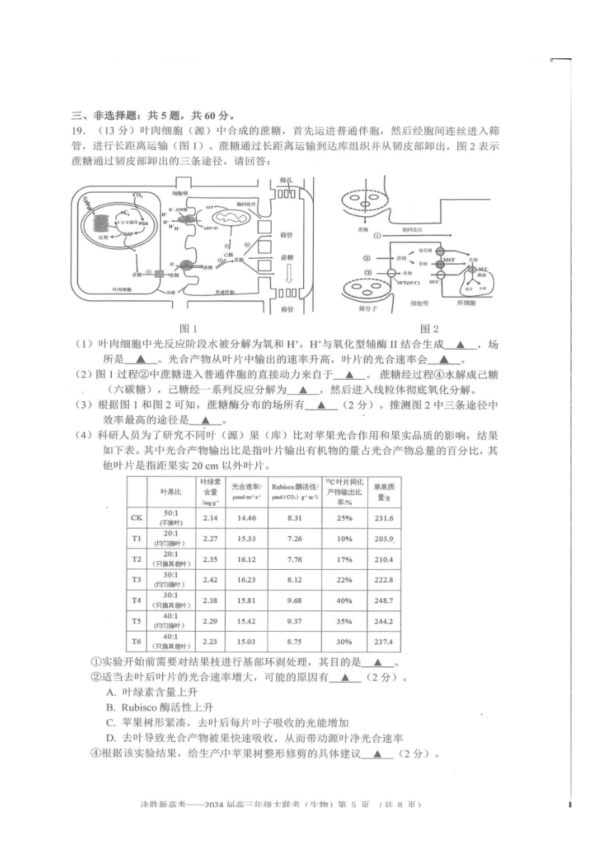 江苏省决胜新高考2024届高三上学期10月大联考生物（PDF版含解析）