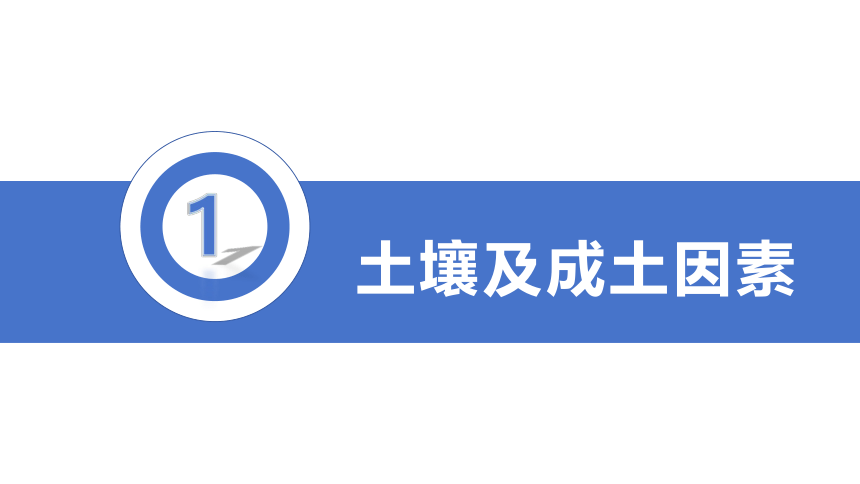 地理湘教版（2019）必修第一册5.2土壤的形成课件（共71张ppt）