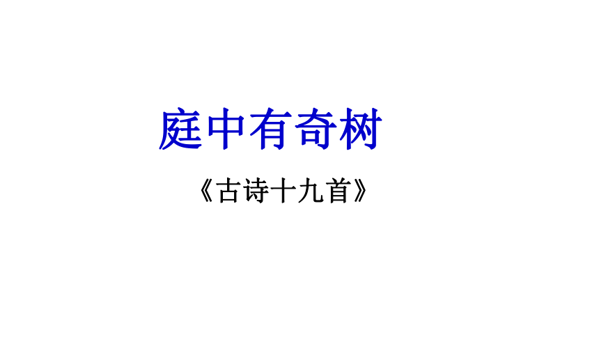 课外古诗词诵读《庭中有奇树》课件（共20张ppt）